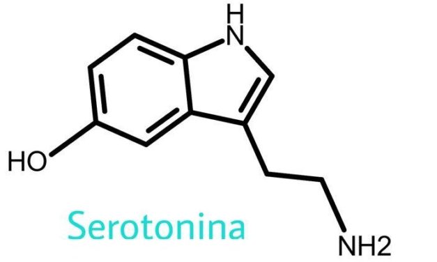 Michel Houellebecq: Serotonina